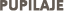Pupilaje